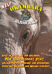 Okambara Bushcamp